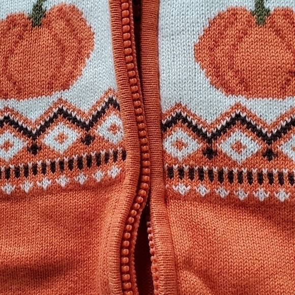Gymboree Orange Pumpkin Sweater Lil's Pumpkin Collection Hooded Zip Up Sweater - Picture 5 of 14